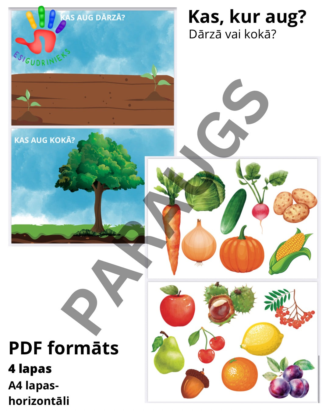 Kas aug dārzā un kokos?