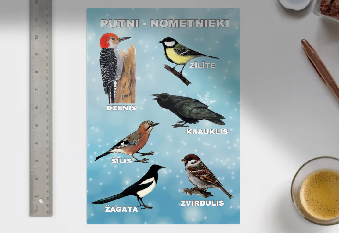 Putni ziemā