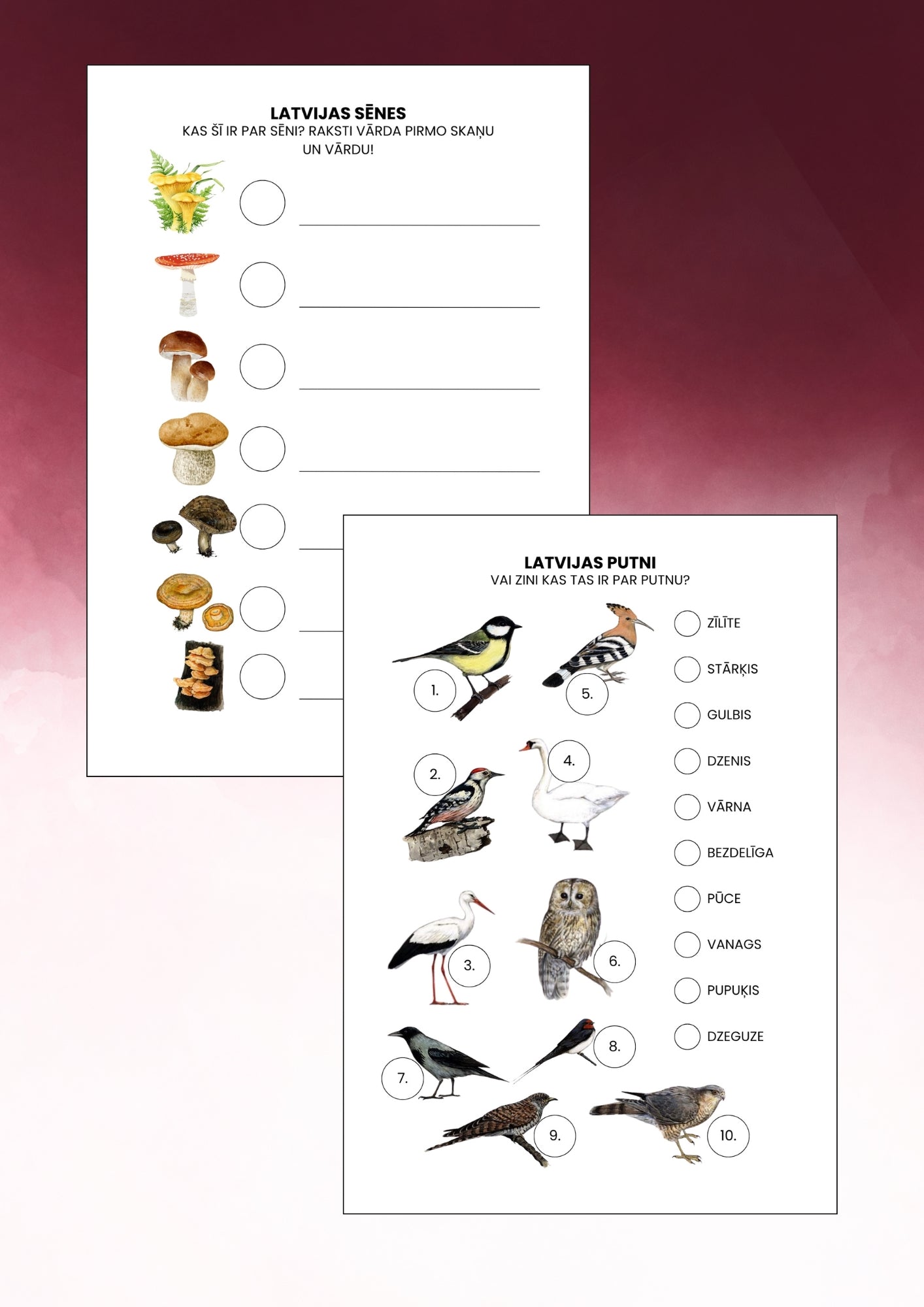 Žurnāls IEPAZĪSTI LATVIJU 5-7 gadi