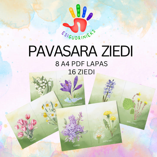 Pavasara ziedi