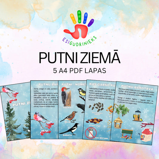 Putni ziemā