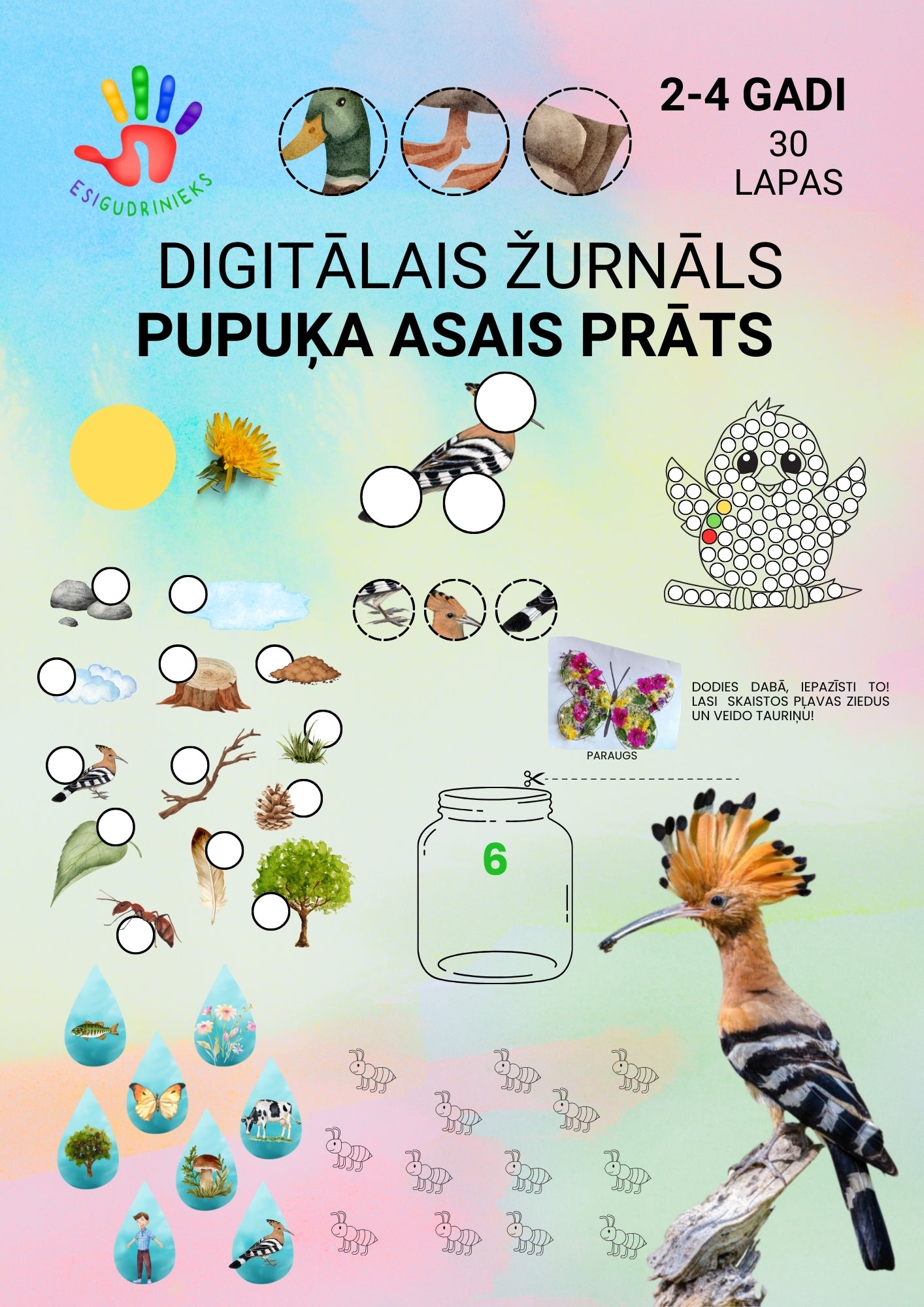 Digitālais žurnāls PUPUĶA ASAIS PRĀTS 2-4 gadi